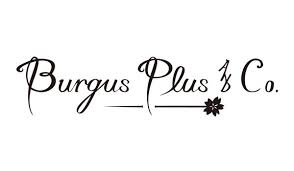 Burgus Plus