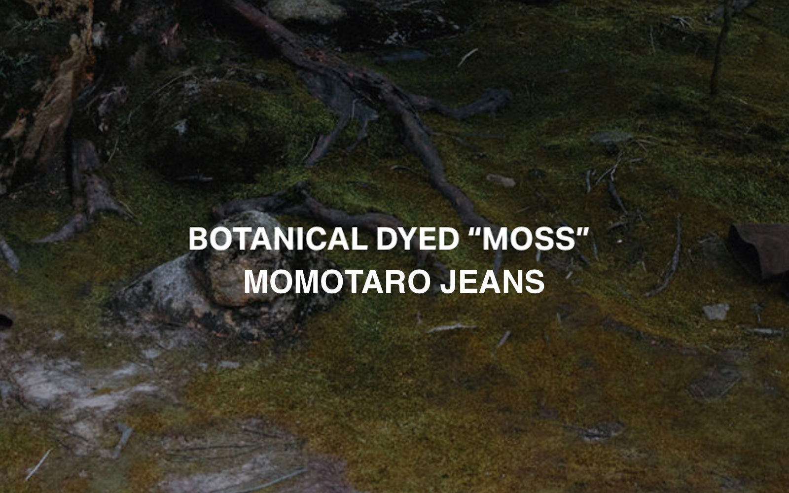 Mildblend SupplyCo - Photo 3