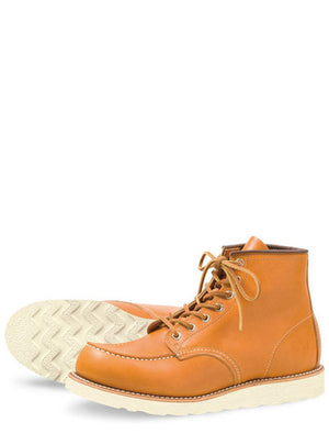 Irish Setter 9875
