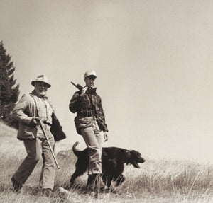 Irish Setter Pecos 9866