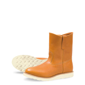 Irish Setter Pecos 9866